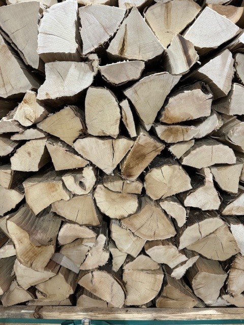 Bok met beuken hout