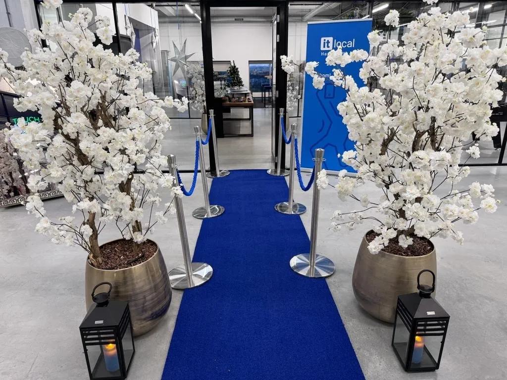 Bloesemboom met blauwe loper_1747229507.jpg